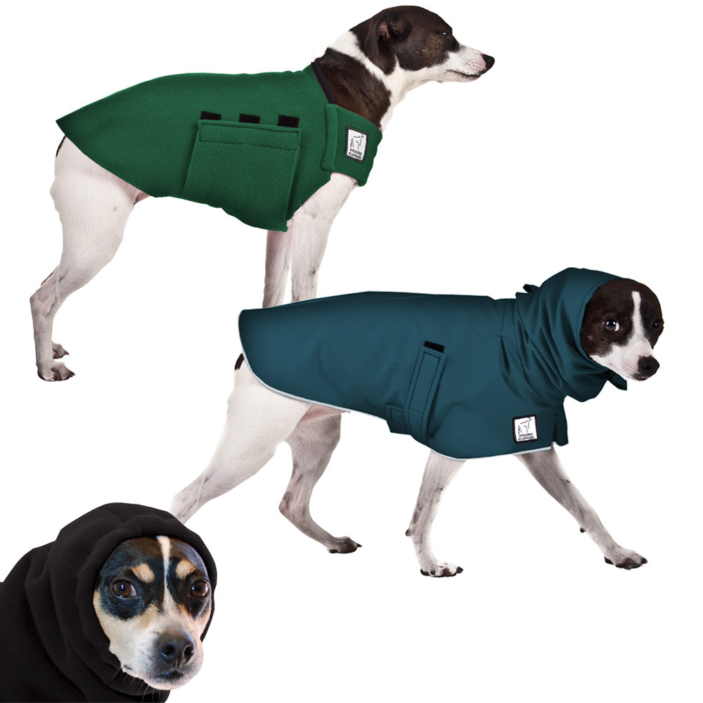 Rat Terrier Warm Climate Combo