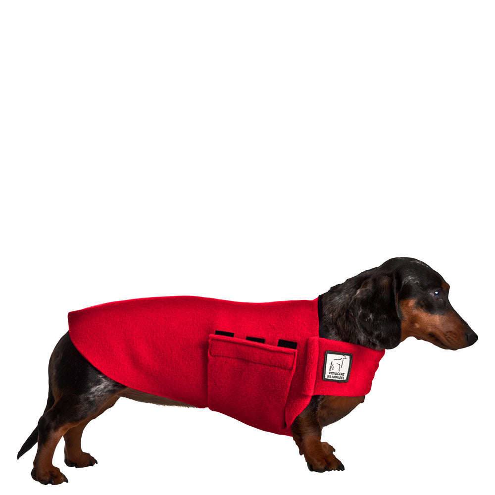 clothes for dachshunds only