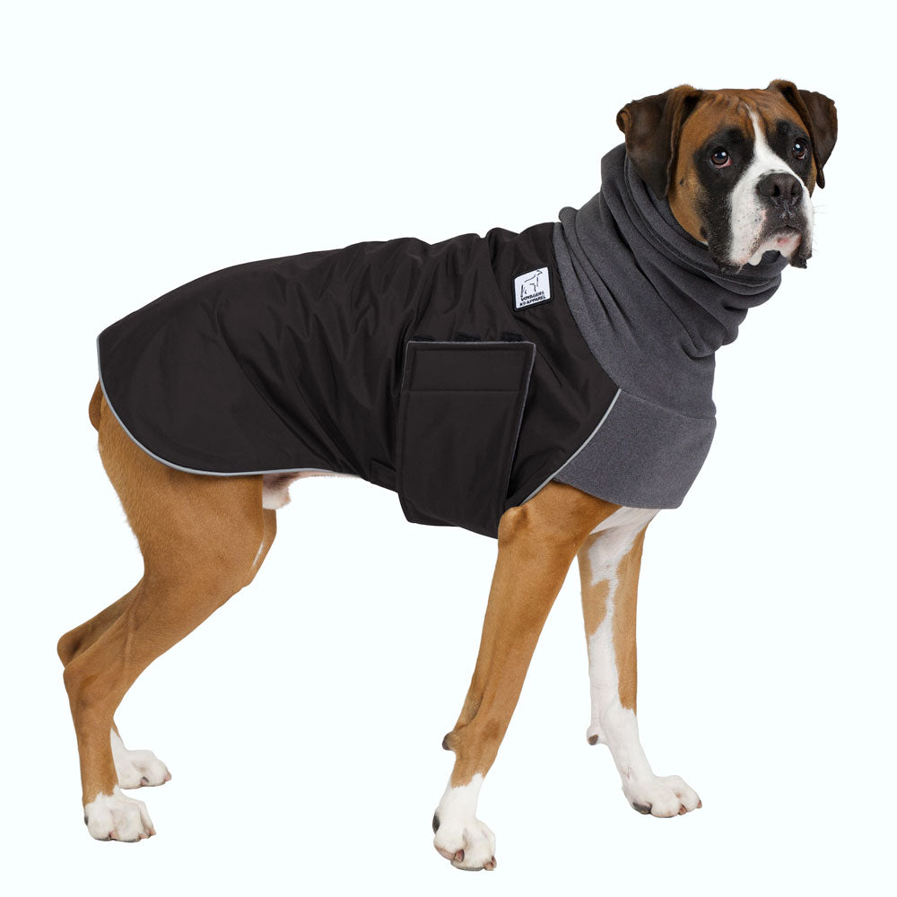 dog winter coat