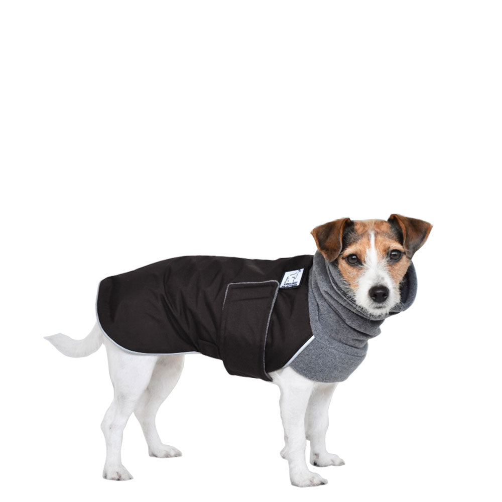 Jack Russell Terrier Winter Coat 