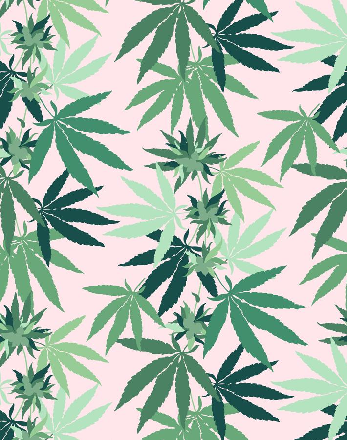 weed backgrounds