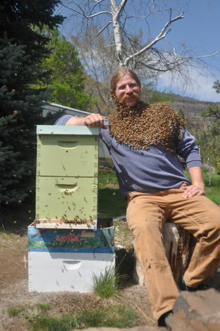 Matt the bee man