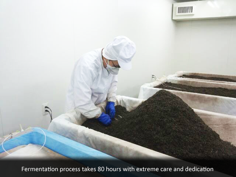 Fermentation process takes 80 hours with extreme care and dedication