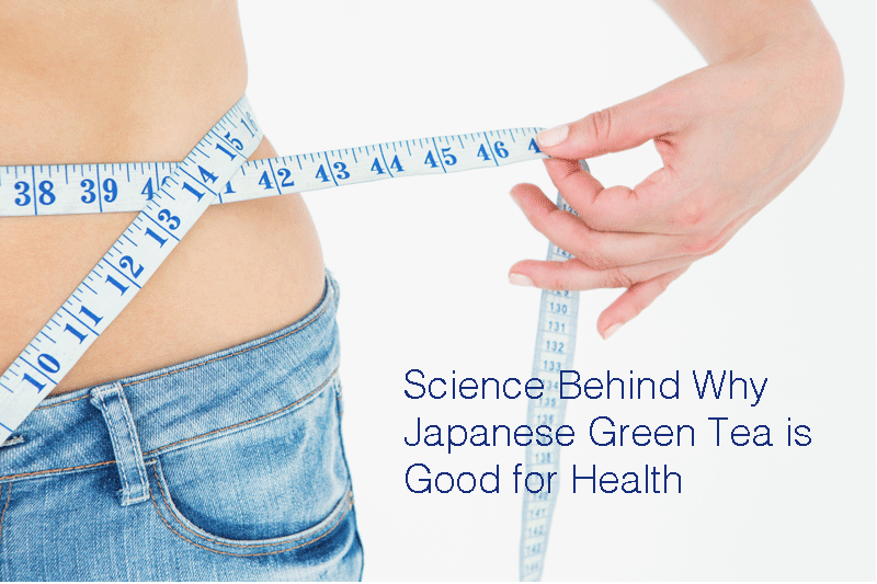 SCIENCE BEHIND WHY JAPANESE GREEN TEA IS GOOD FOR HEALTH