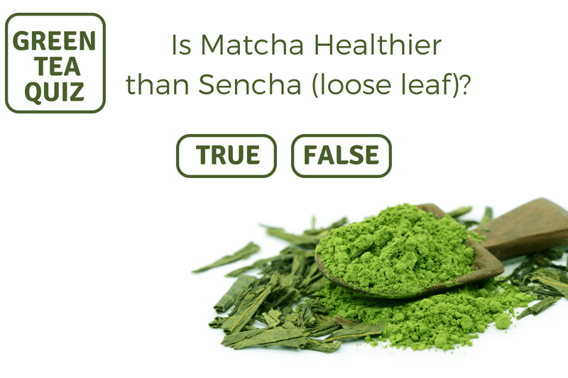 IS MATCHA HEALTHIER THAN SENCHA (LOOSE LEAF)?