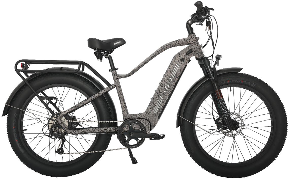 juggernaut duo ebike