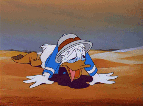 RUSEEN Reflective Apparel - Blog Post - Beating the Summer Heat - Sweating - Donald Duck - Disney