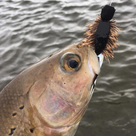 Fly Fishing with a Mouse Fly