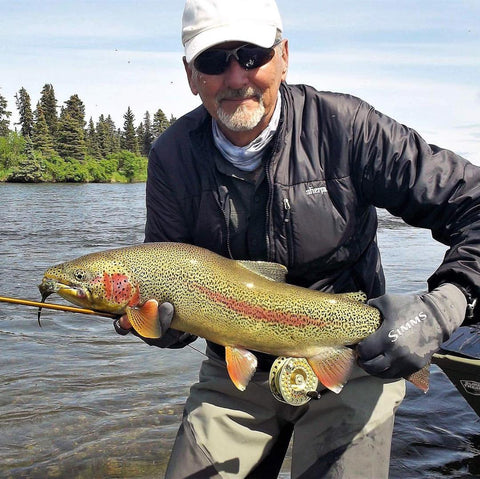 Rainbow Trout Up From Bristol Bay