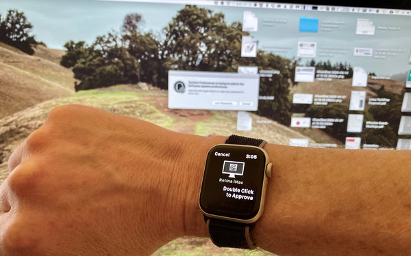 Authentication Requests with Your Apple Watch in Catalina