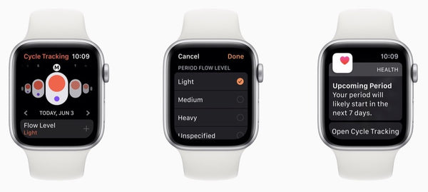 Health Metrics Apple Watch
