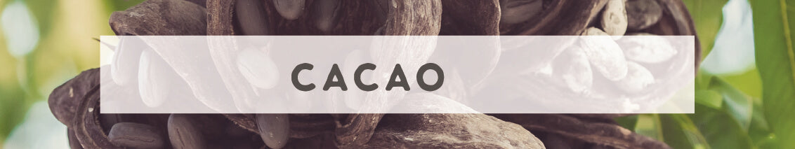 Raw Cacao | Wildly Organic by Wilderness Family Naturals