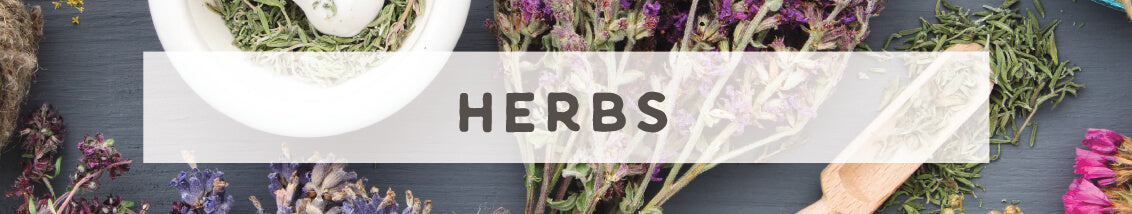 Herbs | Wildly Organic by Wilderness Family Naturals