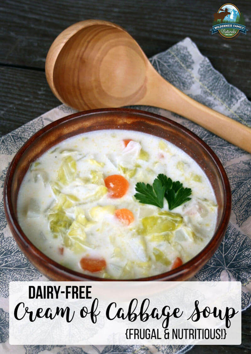 Dairy-Free Cream Of Cabbage Soup {frugal & nutritious!} | There are few fresh vegetables as frugal as cabbage and potatoes. It's gluten-free, grain-free, and suitable for vegetarians and vegans, too! This hearty, yet frugal, dairy-free cream of cabbage soup is an easy recipe for creamy comfort food that nourishes the body without breaking the bank! | WildernessFamilyNaturals.com