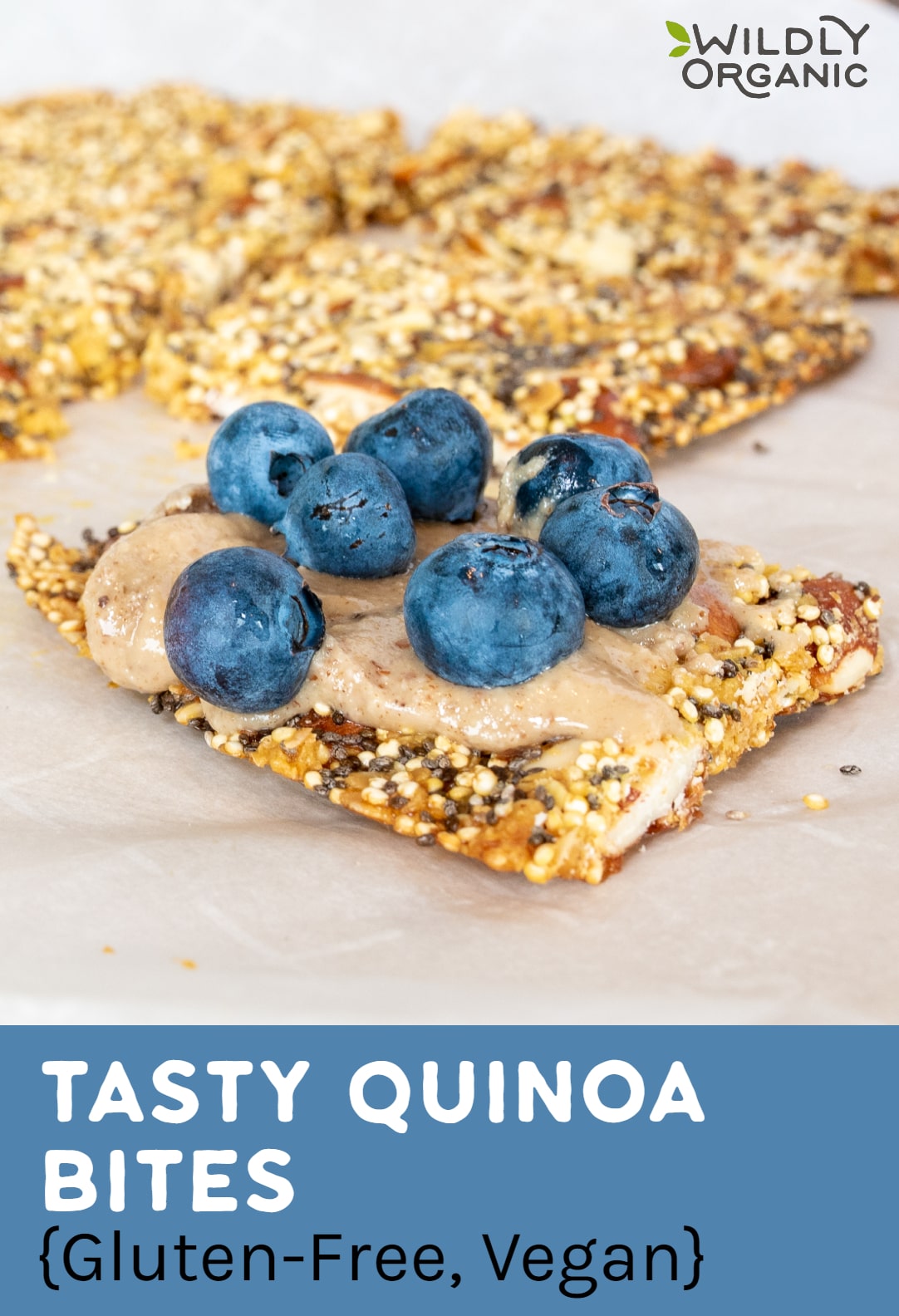 Quinoa bites with blueberries on top