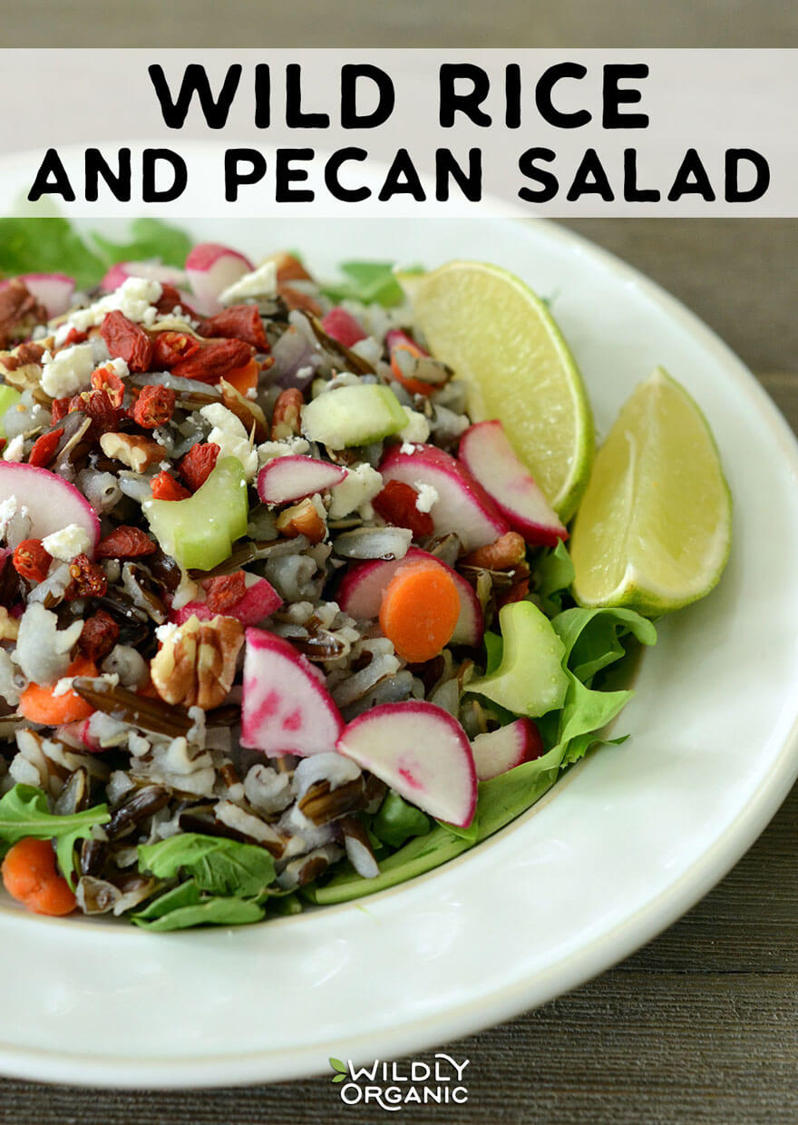 Wild Rice and Pecan Salad | This wild rice and pecan salad is a perfect side dish, but can also become a main by topping with protein such as roast beef or cooked chicken or turkey. While the wild rice does take a while to cook, the rest of the salad comes together very quickly. Bring this dish to a potluck or even make it ahead for easy weeknight dinners! This is gluten-free, vegetarian, real food.