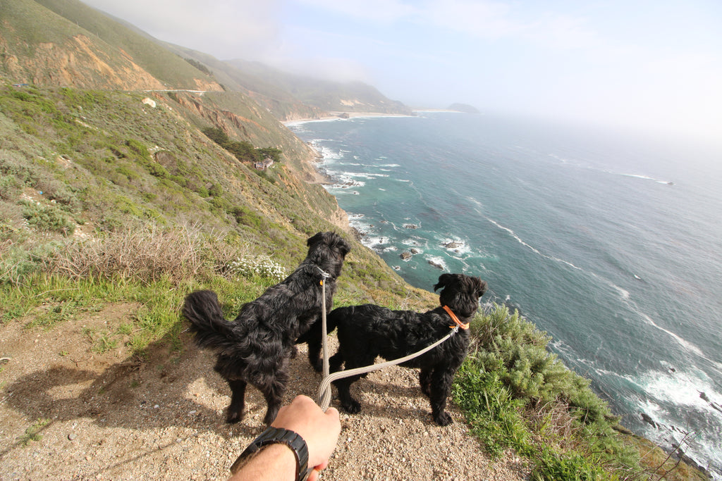 The Adventure Squad: Jordan, Zeus, Sedona