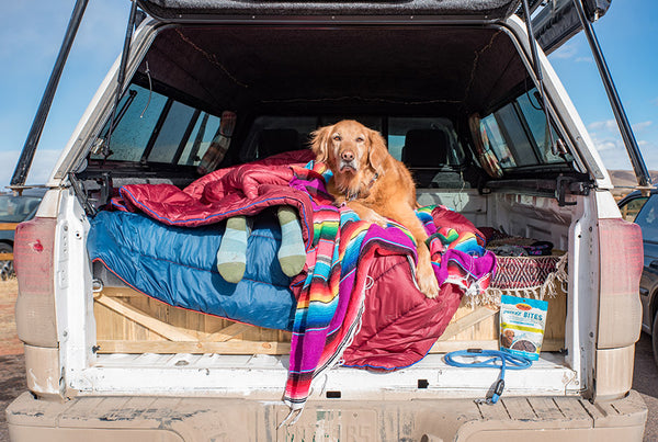 breeze turner marley truck camping atlas pet company