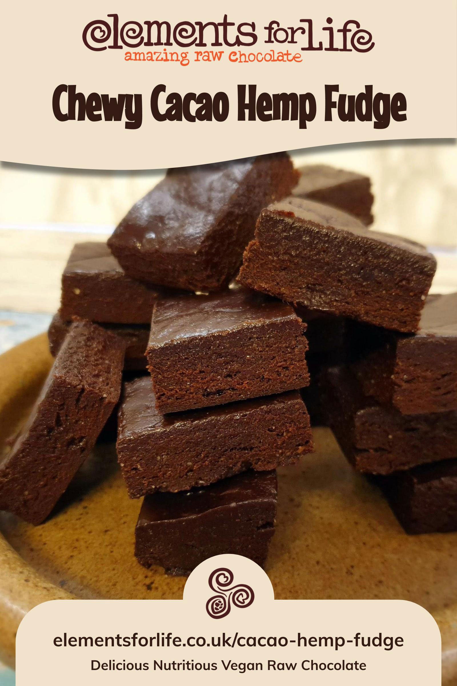 chewy cacao hemp paleo vegan fudge