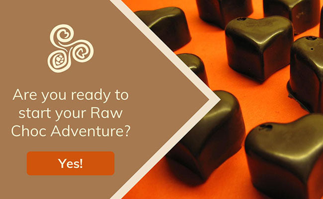 start your raw choc adventure