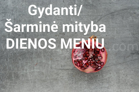 Gydanti – šarminanti mityba“. VIENOS DIENOS MENIU