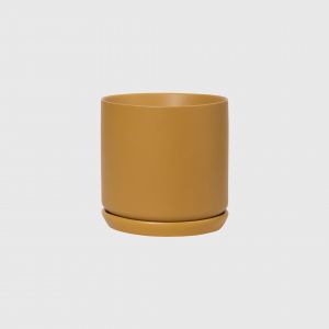 Oslo Tobacco Planter