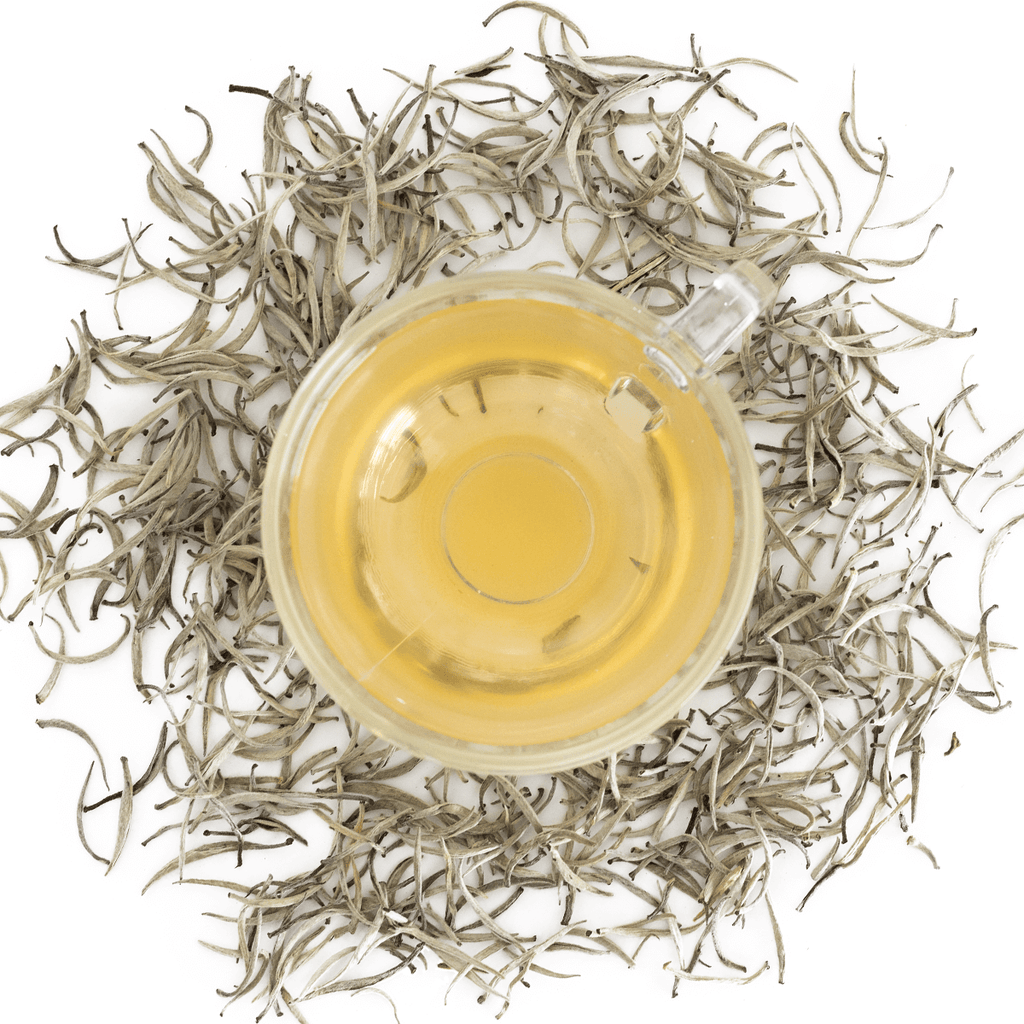 Buy Pure Ceylon Silver White Tea Online - Premium White Tea