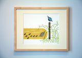 Quail