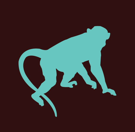 Lucky Monkey Trading Co