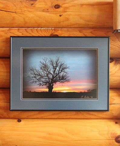 Custom Framed Tree Photography by Carney Lentz Wisconsin