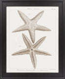 Surya Wall Decor LJ-4024 Brown by Vision Studio 29 X 35