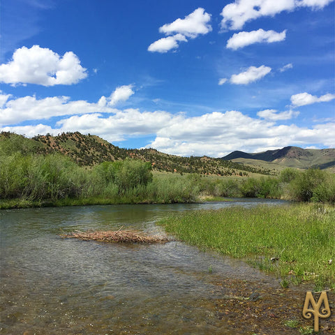 The Beaverhead River, Southwest Montana, photo by Montana Treasures