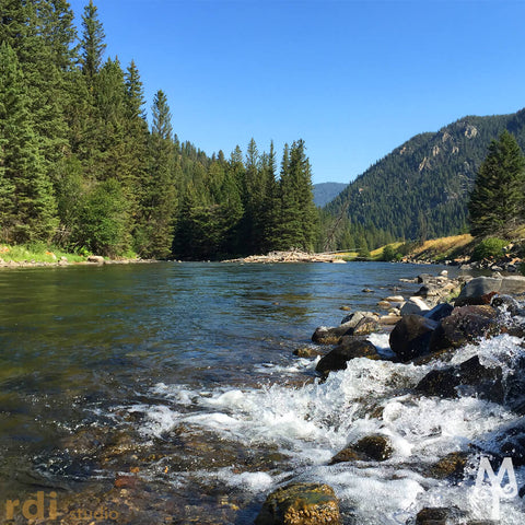 Summer on the Gallatin River, photo by Montana Treasures