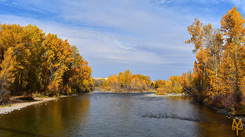 Fall on the Gallatin River, Axtell Bridge, photo by Montana Treasures