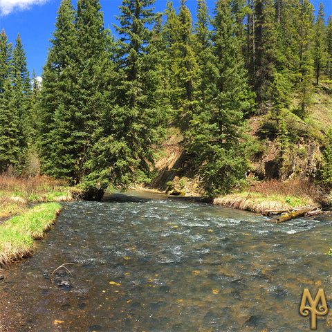June on Hyalite Creek, Bozeman, photo by Montana Treasures