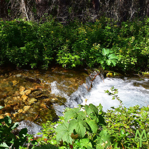 Sheep Creek, Henrys Lake Mountains, photo by Montana Treasures