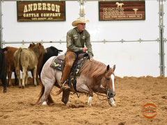 clint allen ncha hall of fame rider