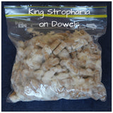 Buy King strophaira on dowels 