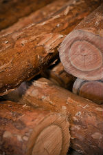 Hardwood logs