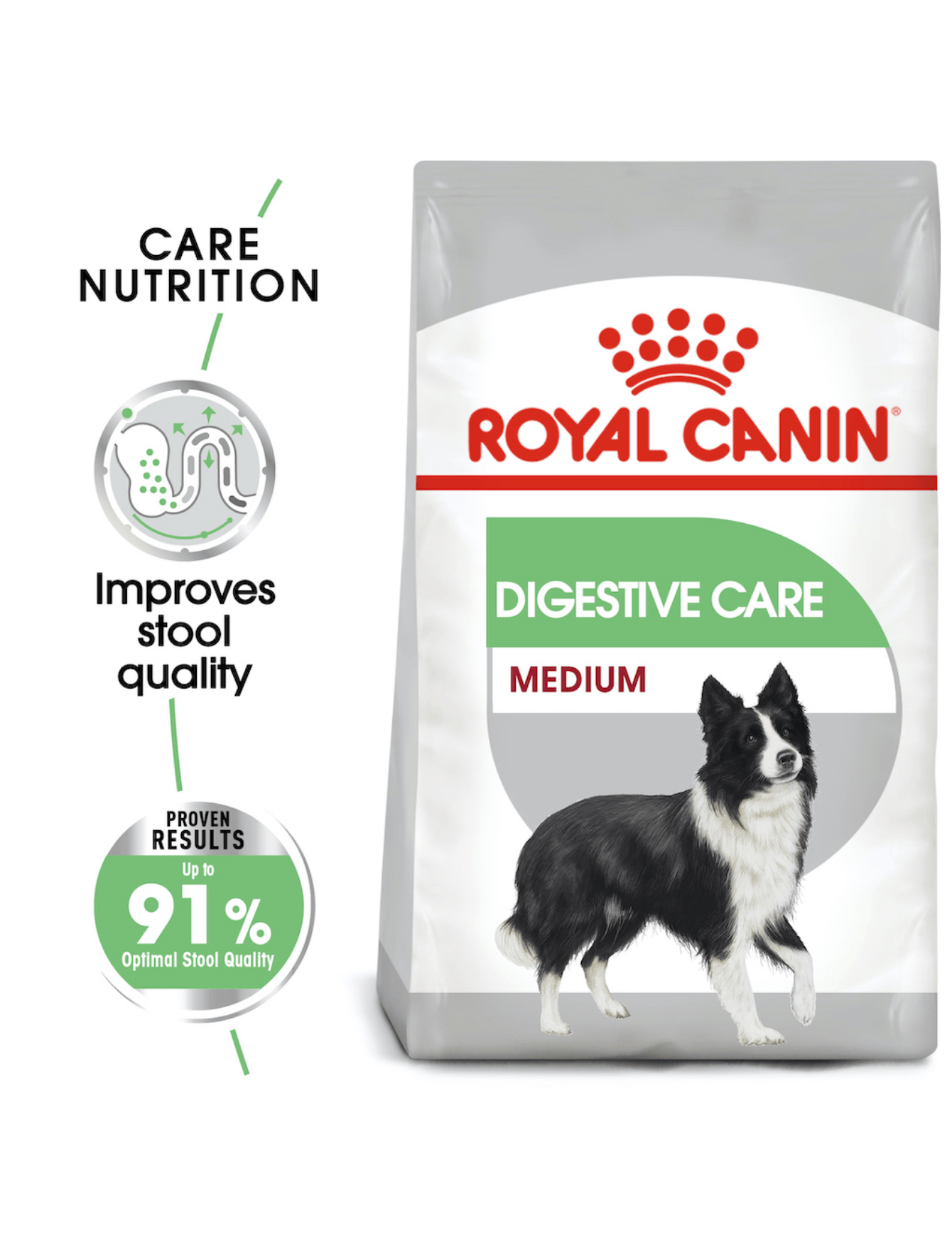 royal canin digestive medium