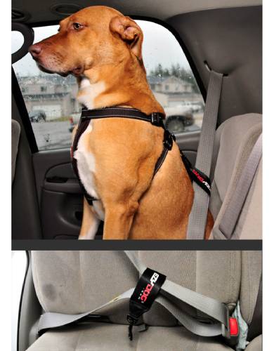 EzyDog Car Restraint | Perromart 