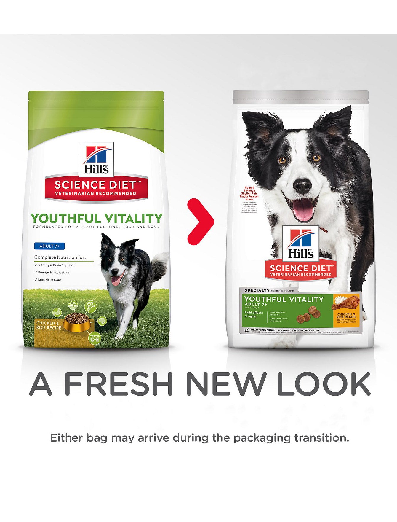 youthful vitality dog food