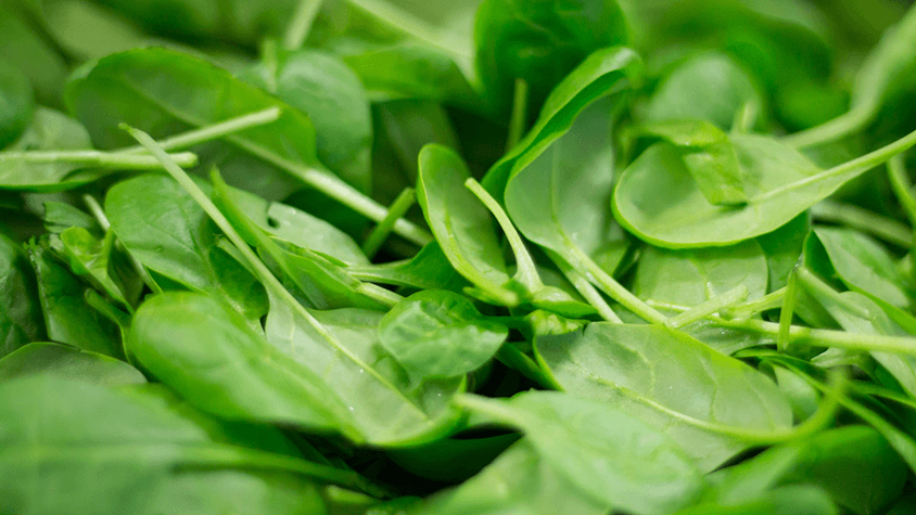 Spinach Vitamin B2 Riboflavin