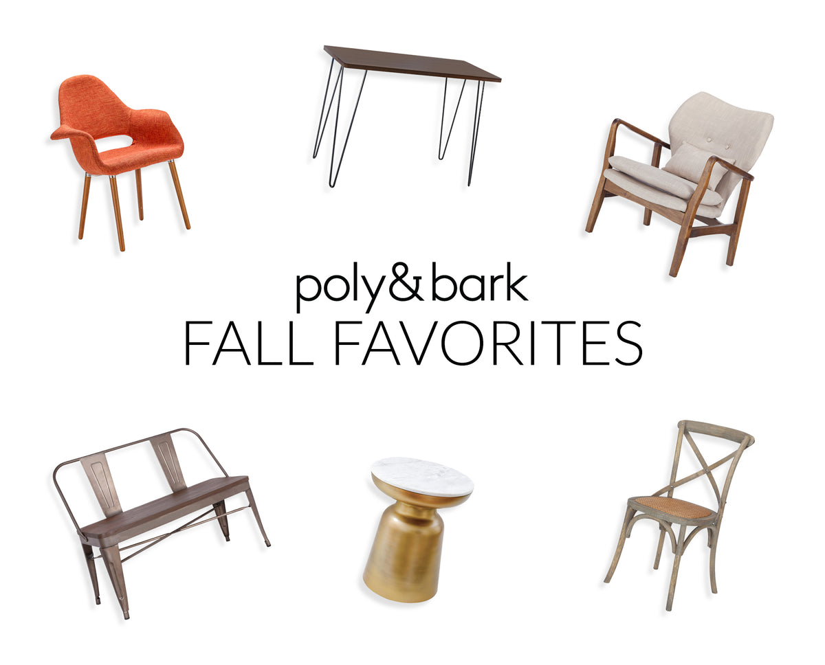 🍁 Fall Furniture Favorites! Poly & Bark