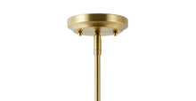 Load image into Gallery viewer, Brushed Brass/Clear
