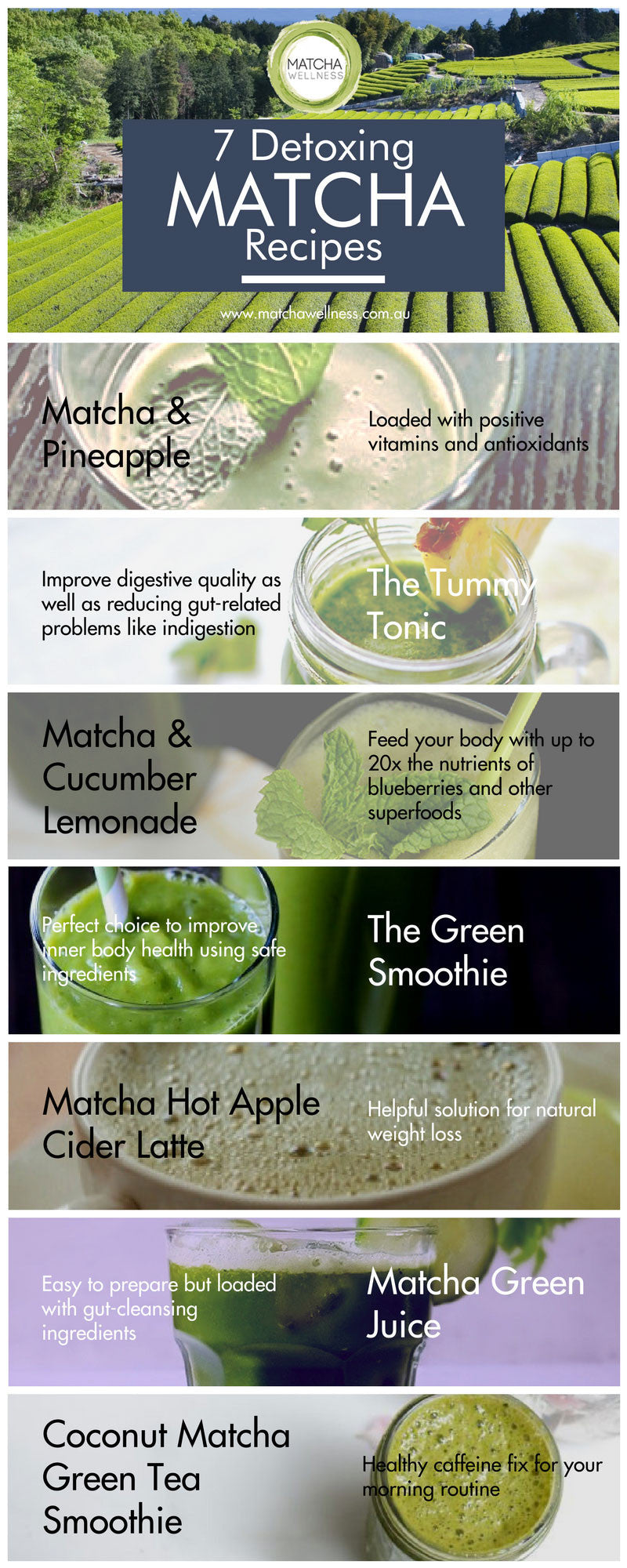 Detoxing Matcha Recipes Infographics