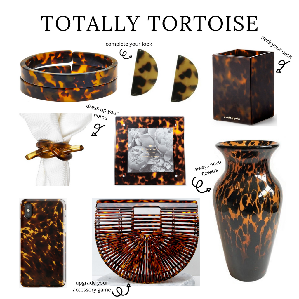 tortoise house accessories