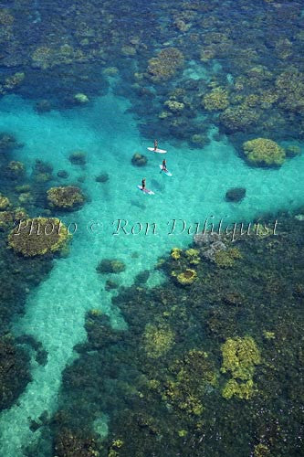 Stand-up paddle boarding on the West shore of Maui, Hawaii Photo Print - Hawaiipictures.com Stand-up paddle boarding on the West shore of Maui, Hawaii Photo Print - Hawaiipictures.com