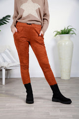 Tan Faux Suede Magic Pants - bestacaiberryselect