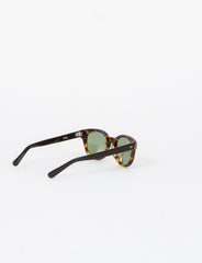 Discovery Sunglasses